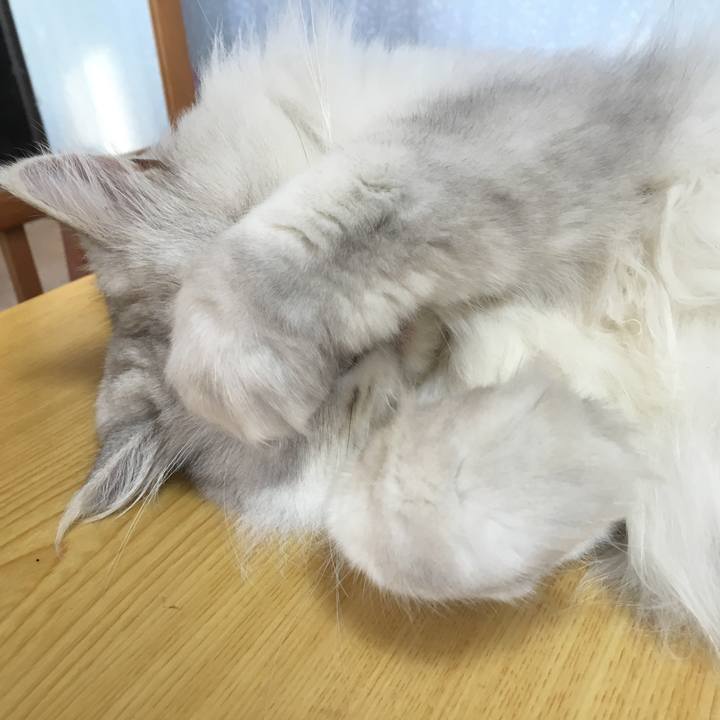 110f87c5 d220 4468 83ce 79fc0dbe1271