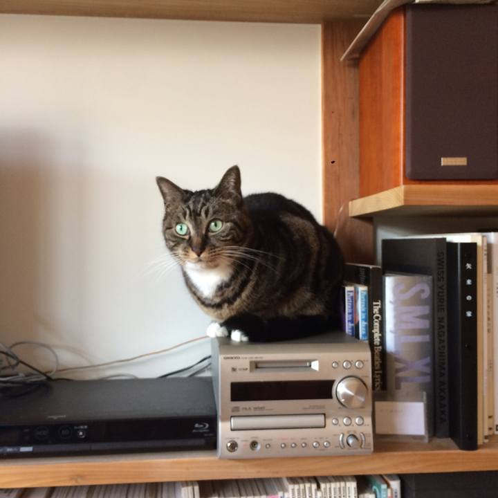 110fdc83 469a 4604 a87a 6bef6984ffef