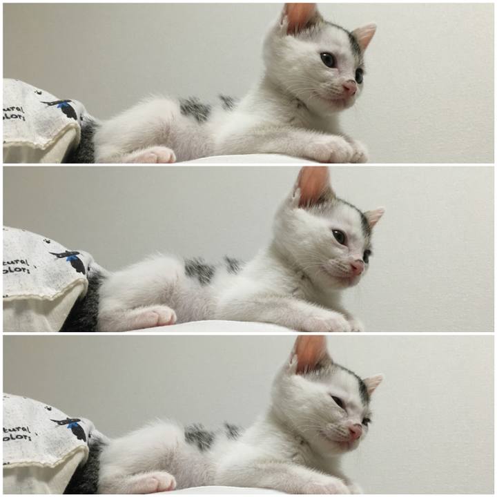 110fe466 5296 4bb3 99d7 9cd7caa24ea6