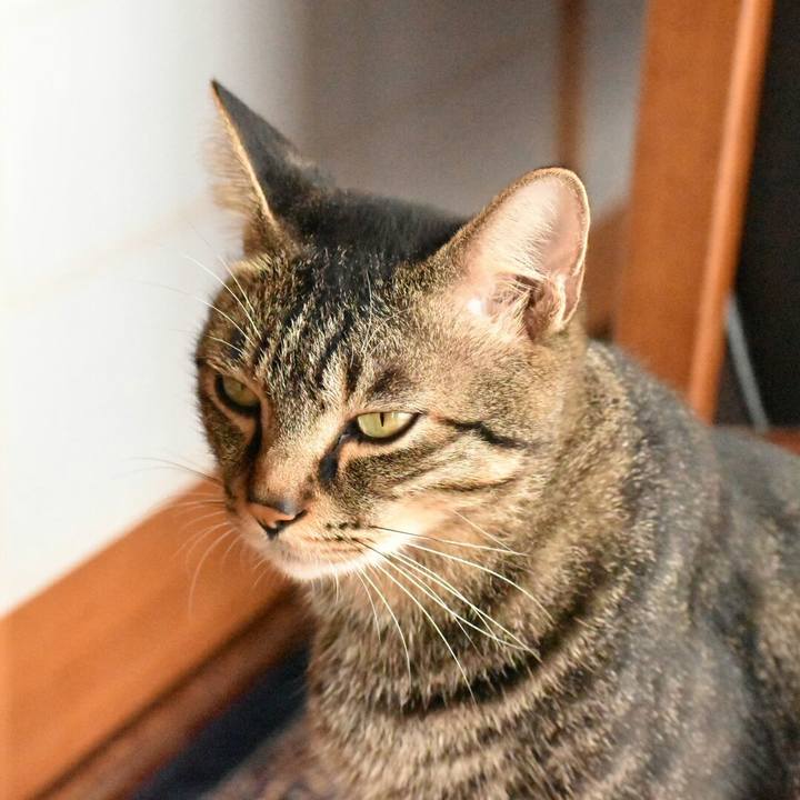 1110080d 1941 4597 9808 f7f6a40e9179