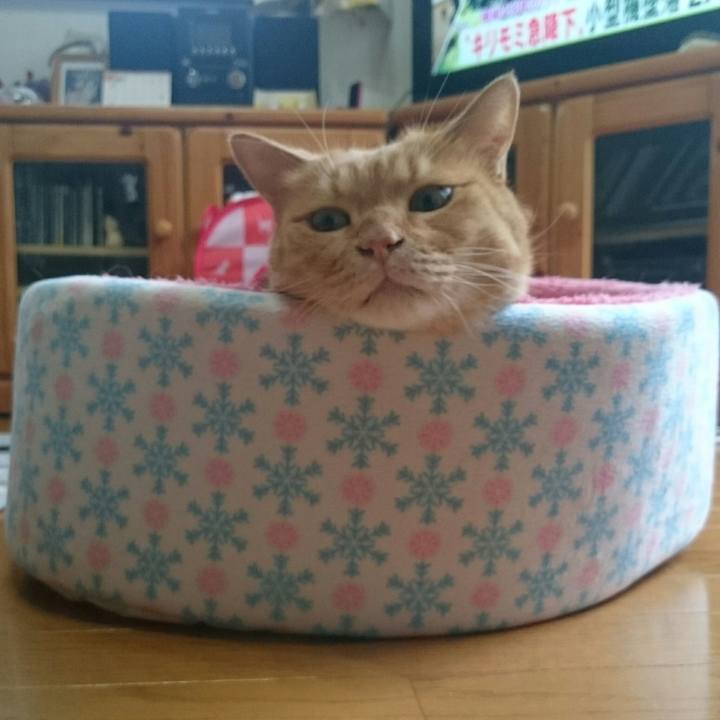 11103855 f322 438d 9a40 ef5abacca7ca