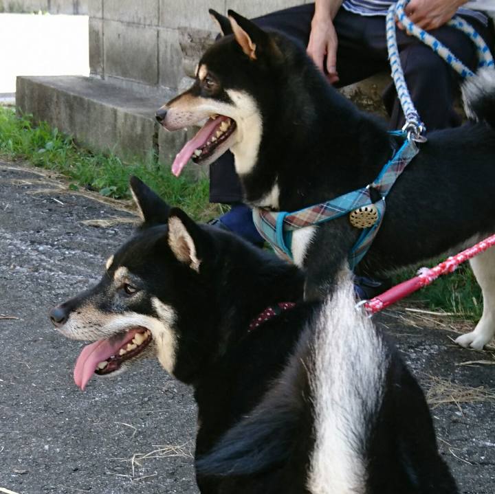 11109fde cf61 47b5 97ac f98f8f192112