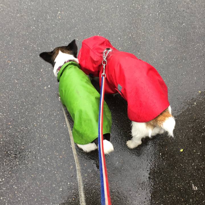 1110ca21 9fb6 4220 a1a8 eabfba1229c1