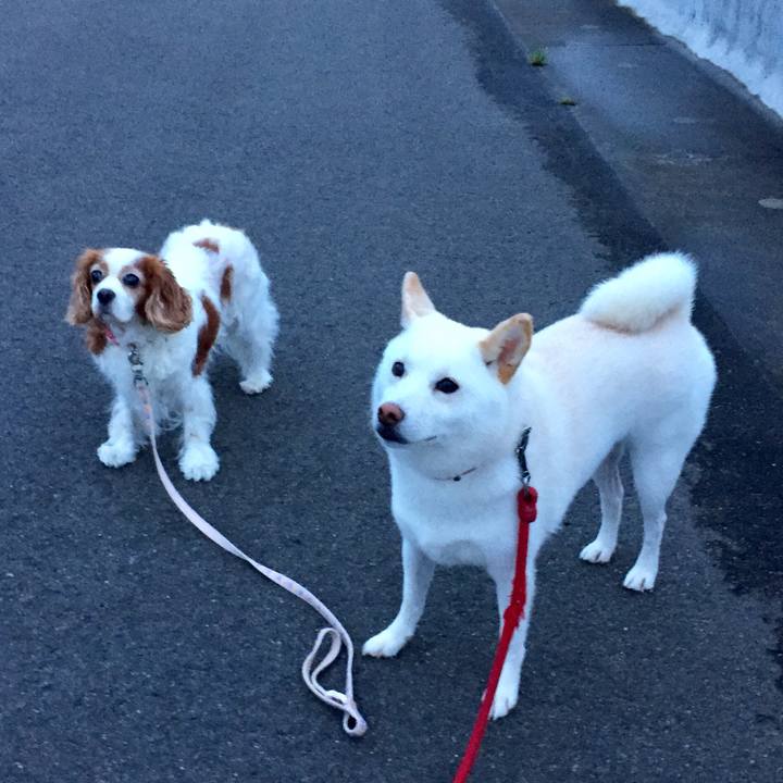 1110e806 0f55 488b b88a 4da9974d684d