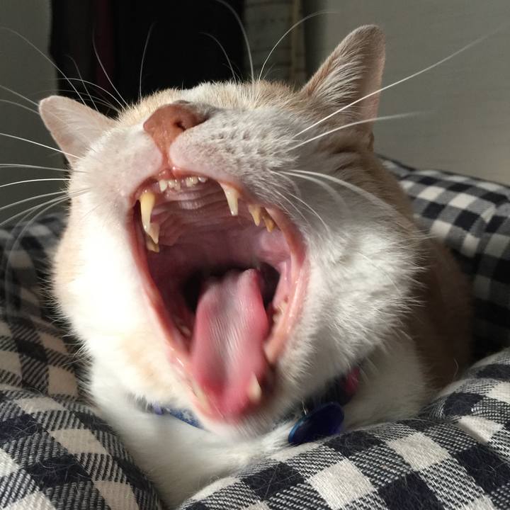 1111097e 6606 4613 9fa2 38f5ccb3ed3c