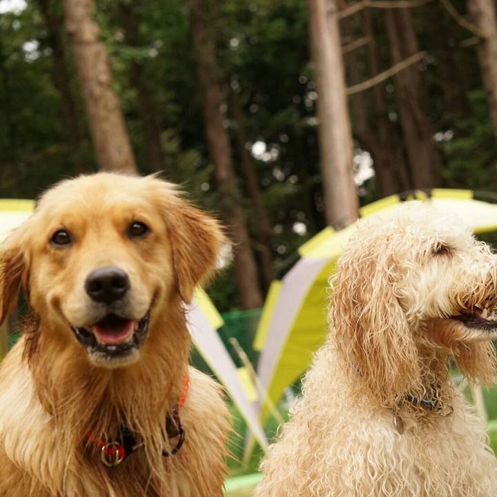 1111217c 1786 4715 8c1c da04b79dca62