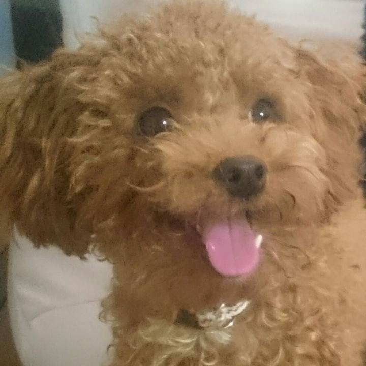 111140a5 0da0 4d3c aca3 e73b182a4c6b