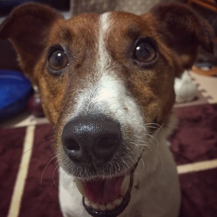 11114161 0e99 4d30 833c 6bff277233bf