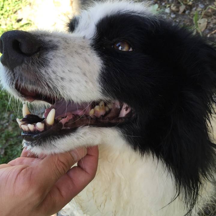 1111d838 1e45 44c2 8e71 401d0abe98a0