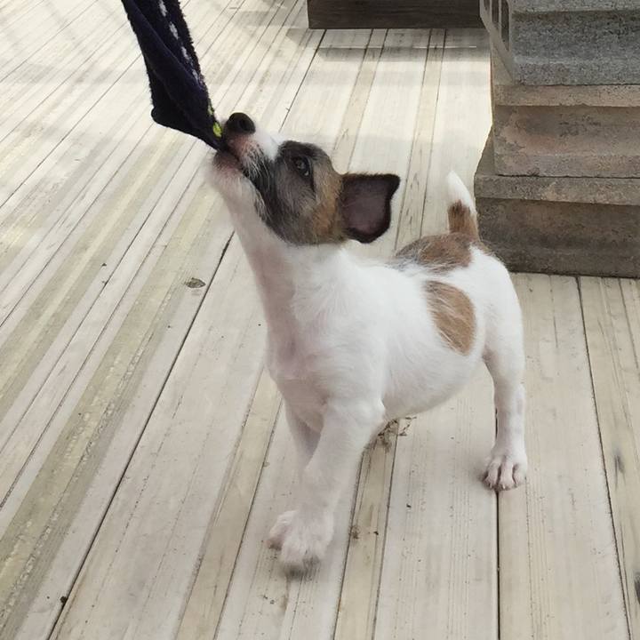 1112cdd2 a965 4f17 91d2 f2cb2b1c3bac