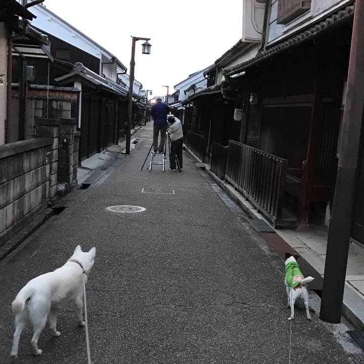 1112f38c ffc9 4801 b98a f3ee14cf0731