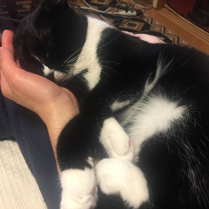 1113a03e 86b0 47cf ac79 994b22d59302