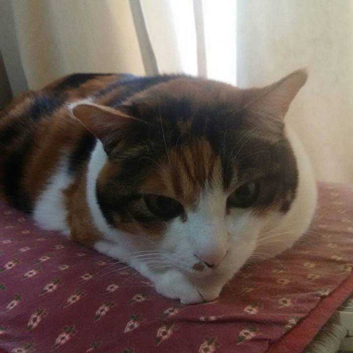 1113a5f0 0ab5 4bf3 9464 0ce73454c47a