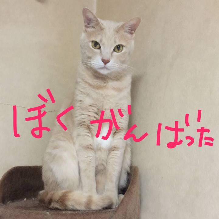 1113e2bb 3b5c 40d2 96a0 3d035ea200b5