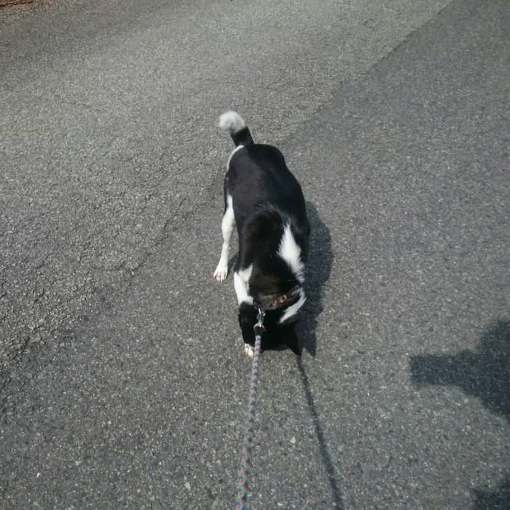 11140e3b 342a 4c92 b1b4 e256c209ecd6