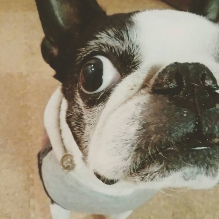 1114c0c5 5f10 4dcb 818f ceb753c8d204