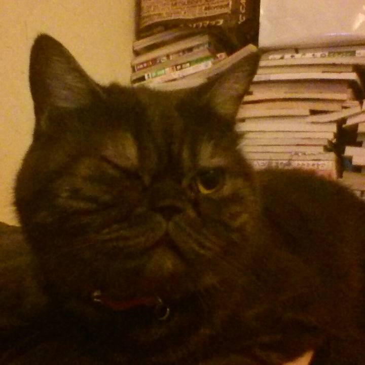 111516b6 90a5 44a8 82ae b25eddb50bd6