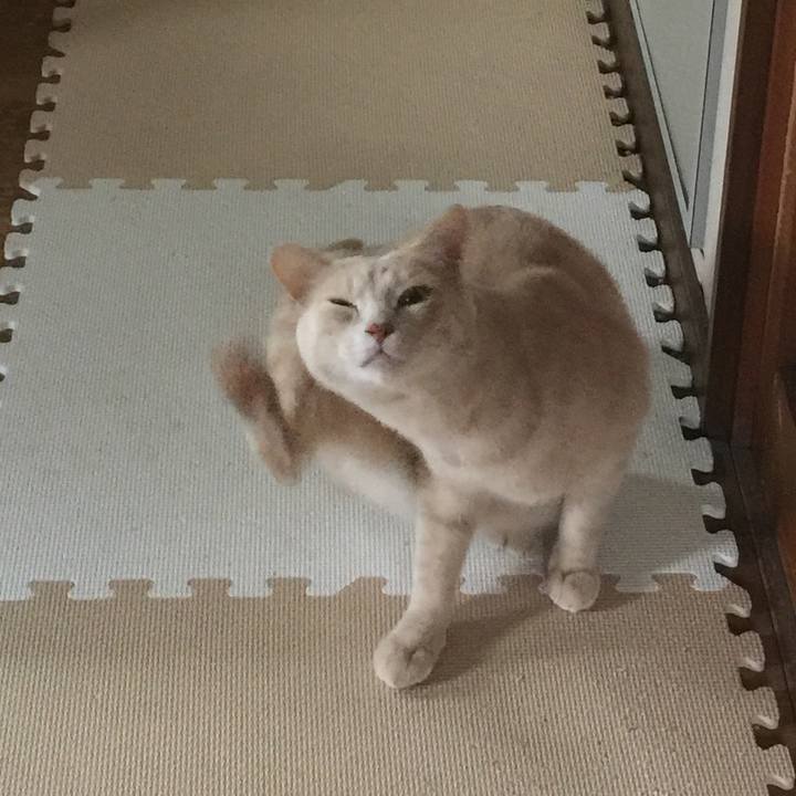 11161e46 2c3e 4f00 a0e4 0245e5600e97