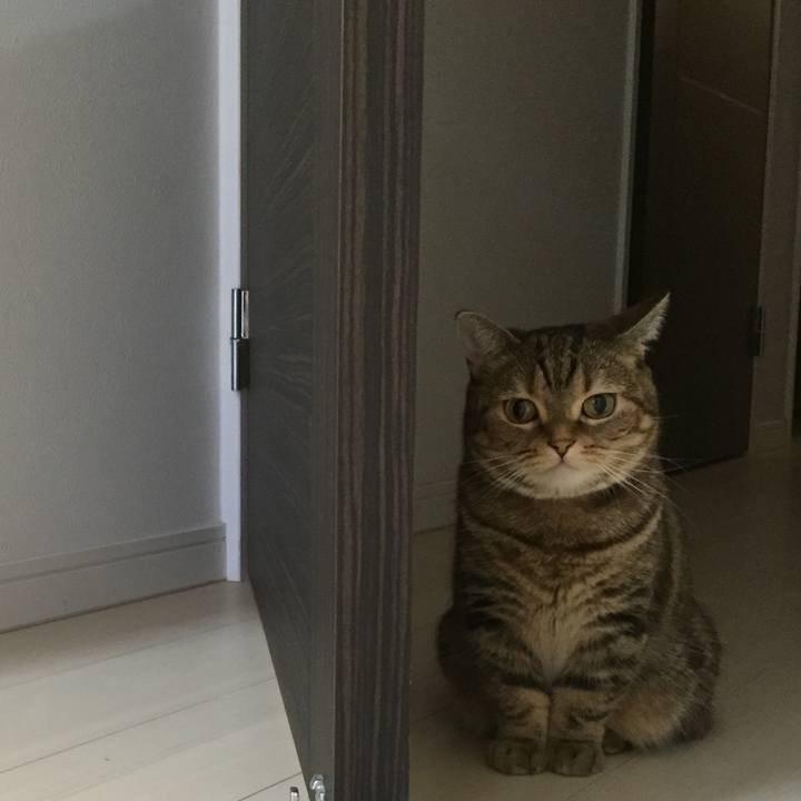 111652e8 bdb8 4cc6 a643 87a1914933eb