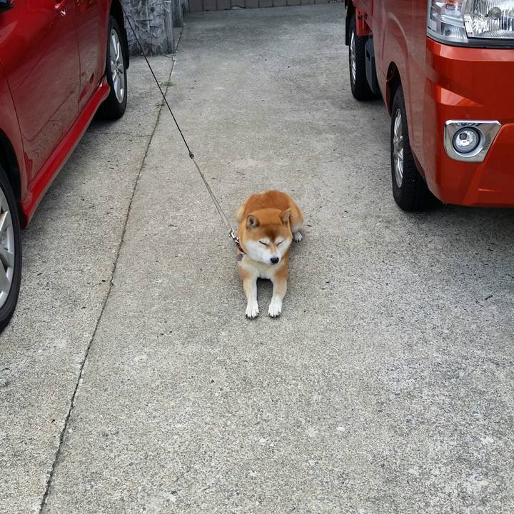 111720f5 2cb7 4429 9859 5569bf699d1e