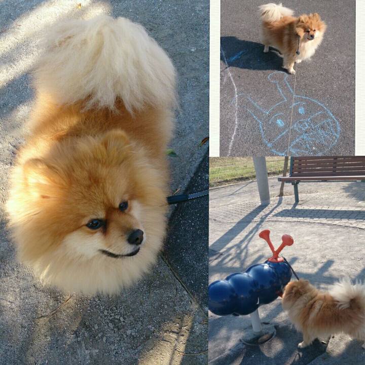 1117471b 7959 4d15 97a0 b47941622ddd