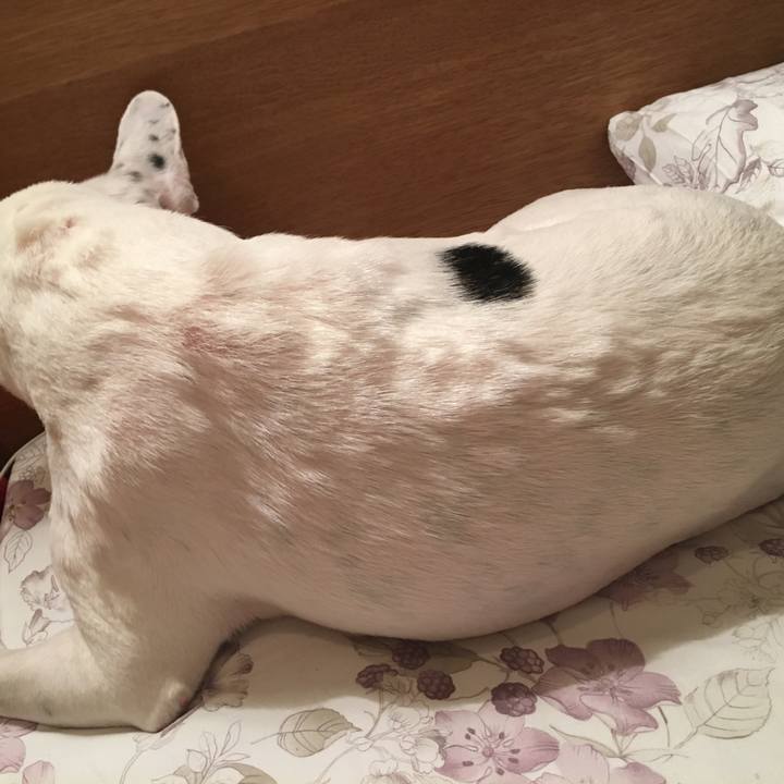 1117f82f 132c 4d7b 938b e2532389b769