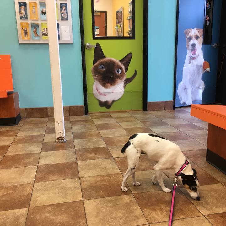 11185ec3 d875 44ad b7f9 ec2ae5083e61