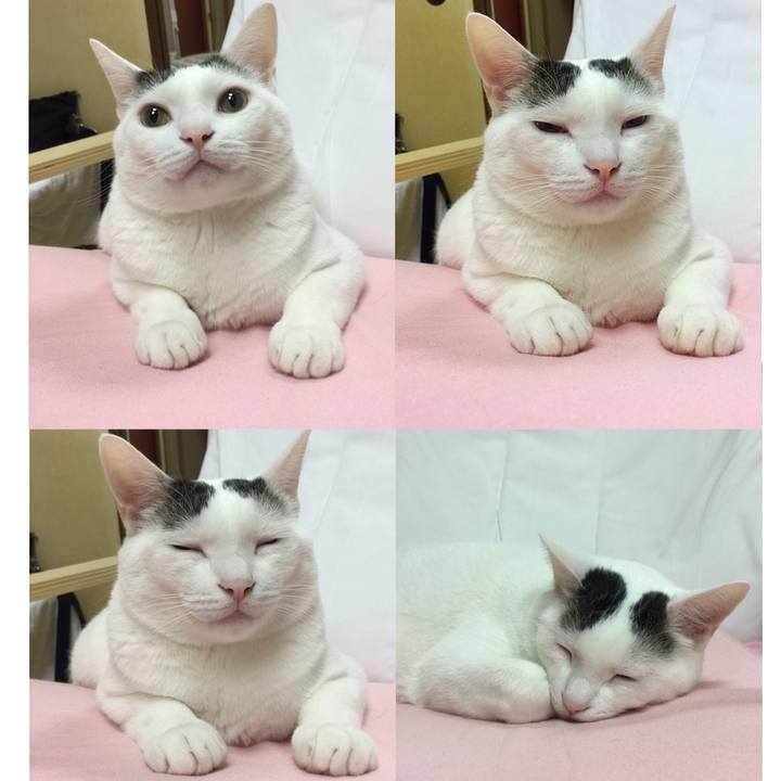 1118835a d2a3 4d57 9ecc 8b4fdcaa607c