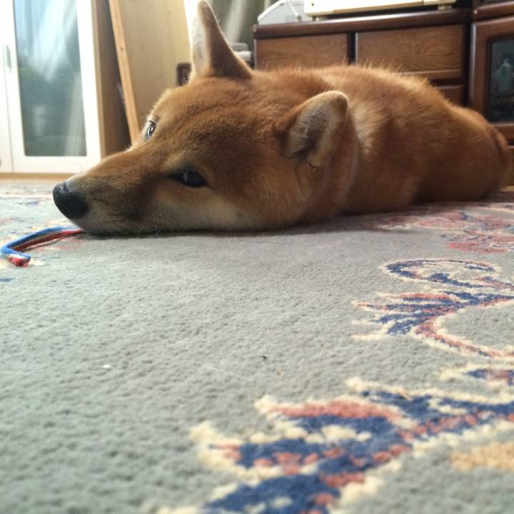 1118aa18 3f7e 4b92 92a5 440c0bed451a