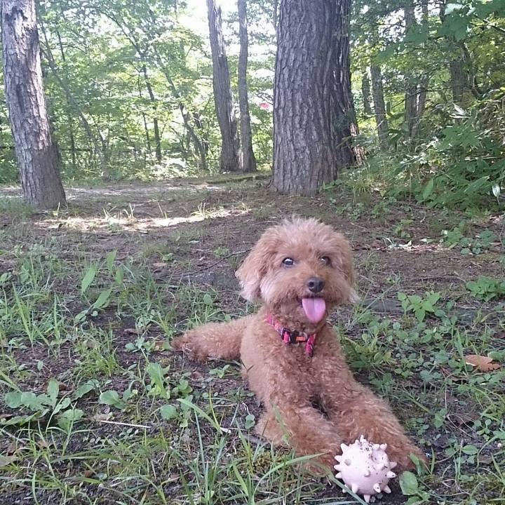 111929f1 3f26 47fa 8203 ee31dd79bb66