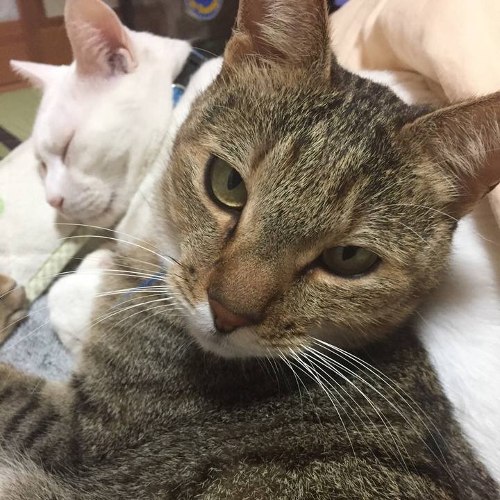 111940dc 559f 4432 9791 09771bdef1c0