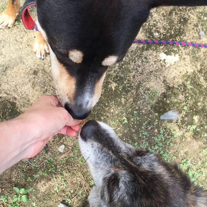 11197b27 cac4 4072 aaf5 c370c2aea197