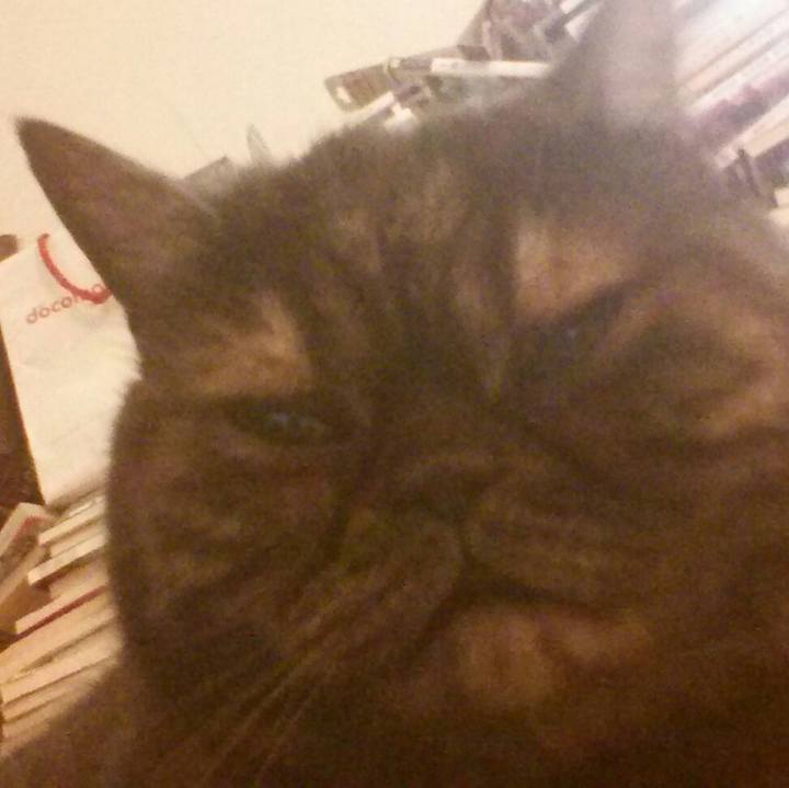 11199f1c 0976 40e3 a287 850cacac6208