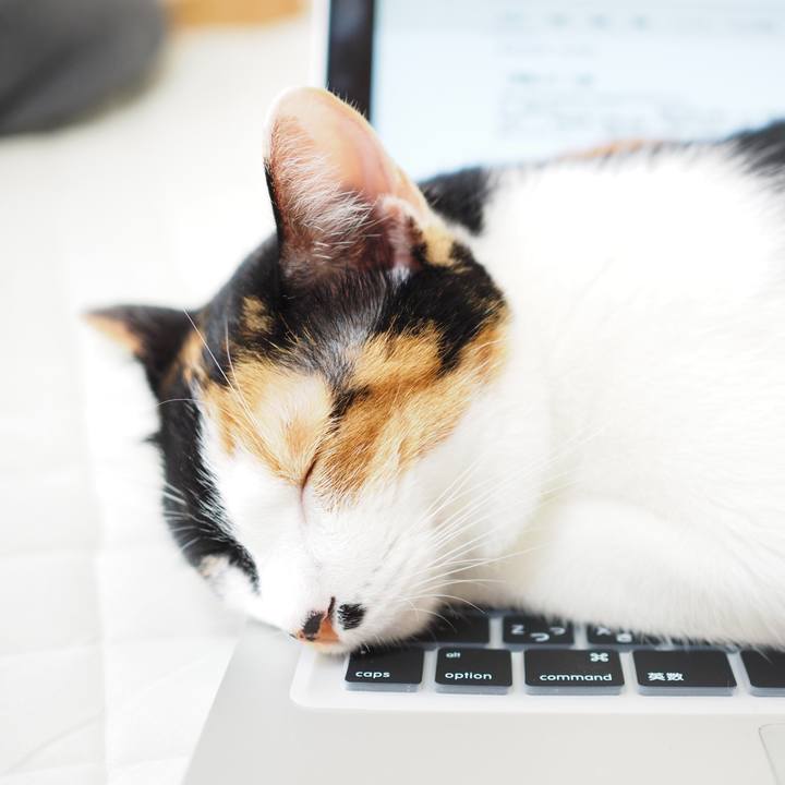 1119a0ad 8504 4b2c ae71 53ae34ebf450