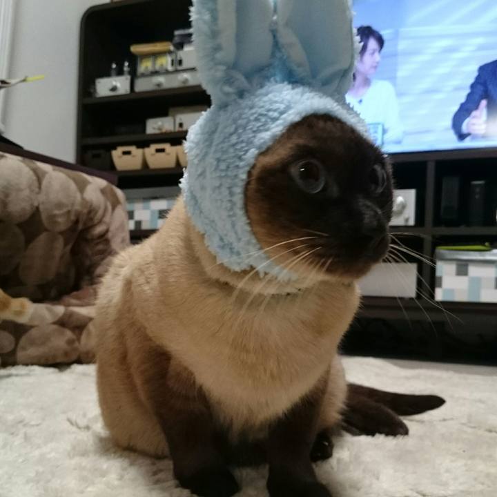 1119a0ea ec73 4612 b959 5b7d3af7887a