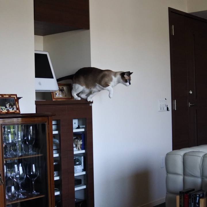 111a9baf 44cc 4ee4 bd4e 342da042fa63