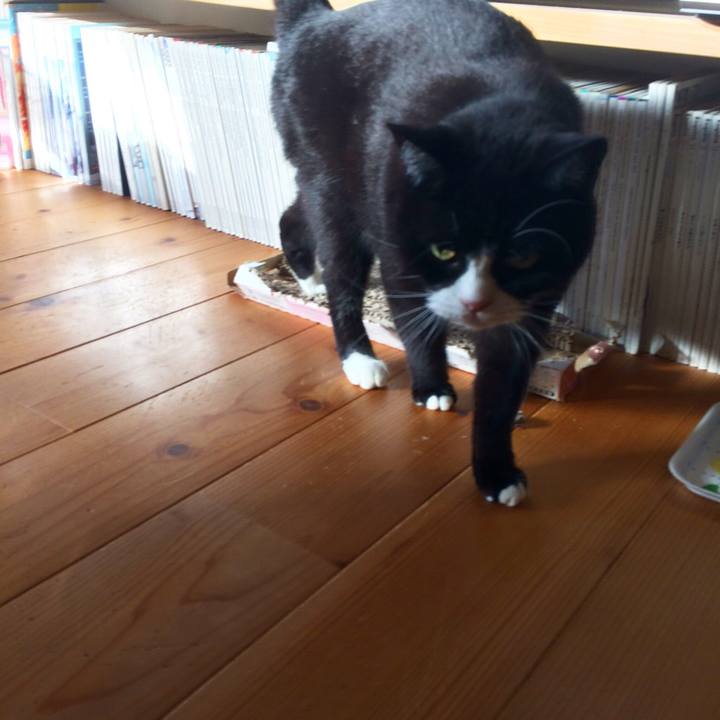 111ab3c1 7423 4ac7 8f13 d7e444f00ba2