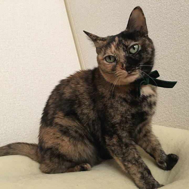 111b3f62 629f 48d6 9daf 4705c5a533be