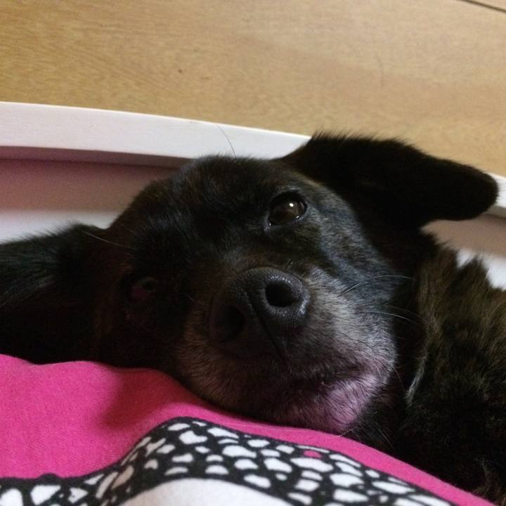 111b92d4 5c47 4a23 b42f d3470bc6fb3d