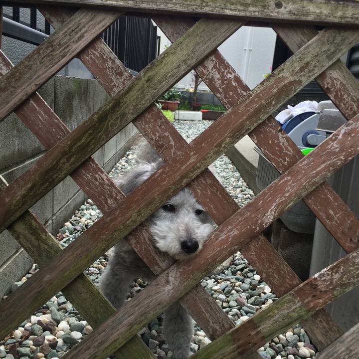 111bf210 d7af 45bb 9a15 ec48e6921b6a