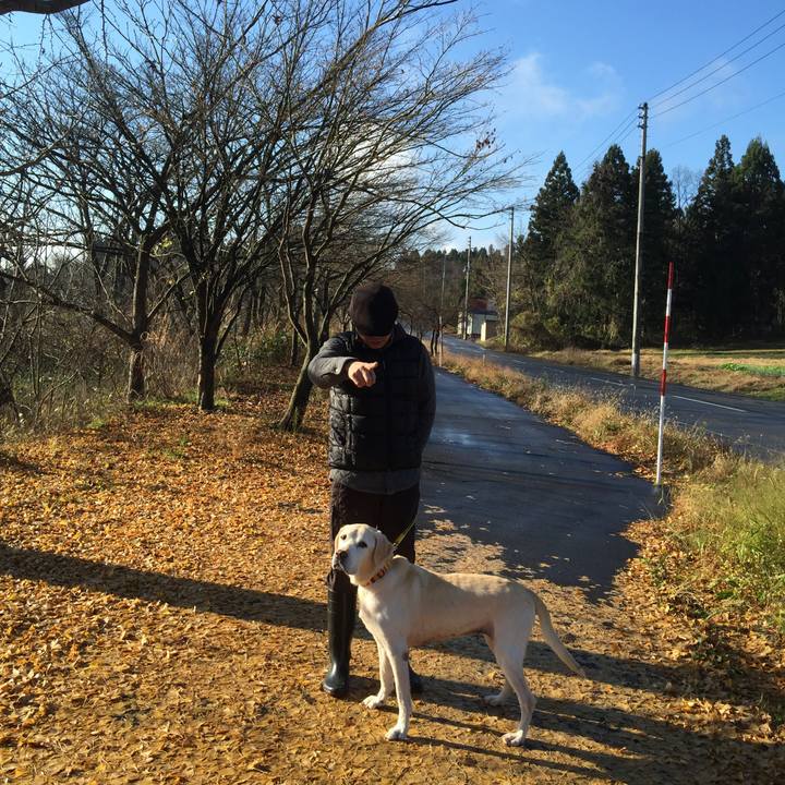 111c2444 db6b 4106 a73d 555615c6fb8e