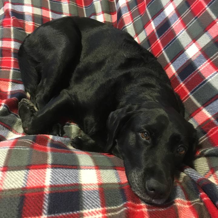 111cb87d b4f1 482a b0d4 2089301e3663