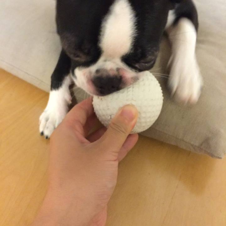 111cd68e fbc9 4092 9e8e f3e6bf1d48f1