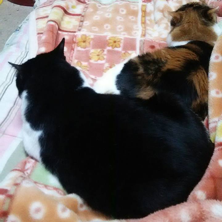 111d02e8 38c7 4ee7 8a39 0377c977696e