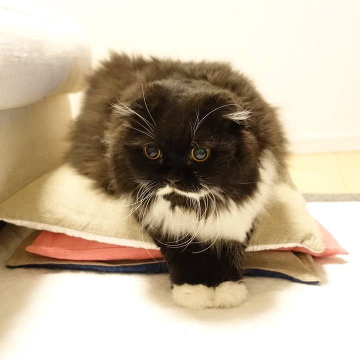 111e0613 4626 481b 8790 272204a84fe3