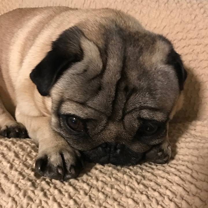 111e5f54 5127 4aa2 90cb 0f79ad54870b