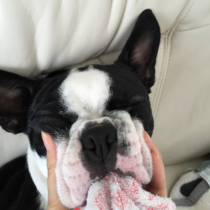 111e94bc 52cb 493a af02 4fb97e156aca