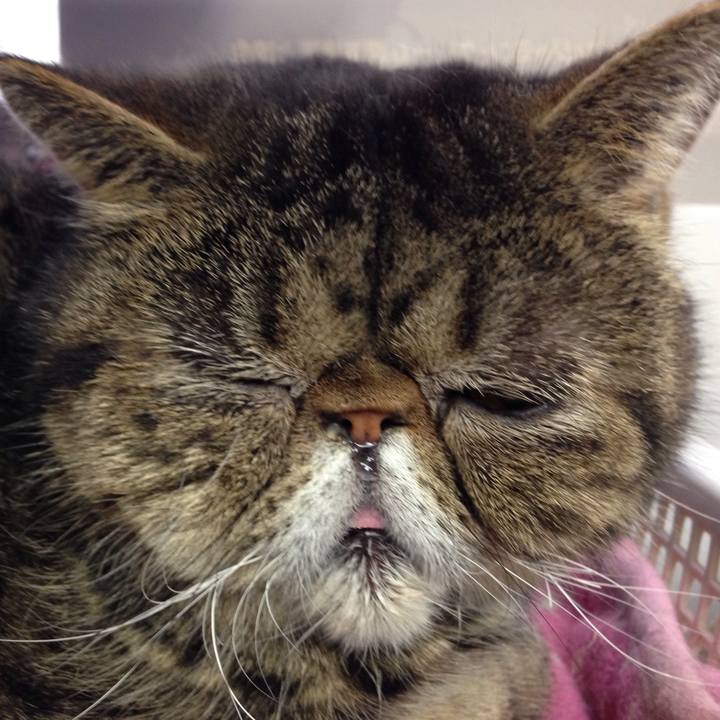 111eabcf 4515 4e86 896d 6c4b0aaf43a7