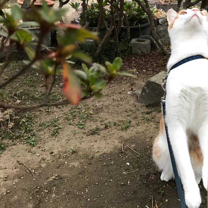 111ec3a9 fffd 42a9 95e1 704e68680723