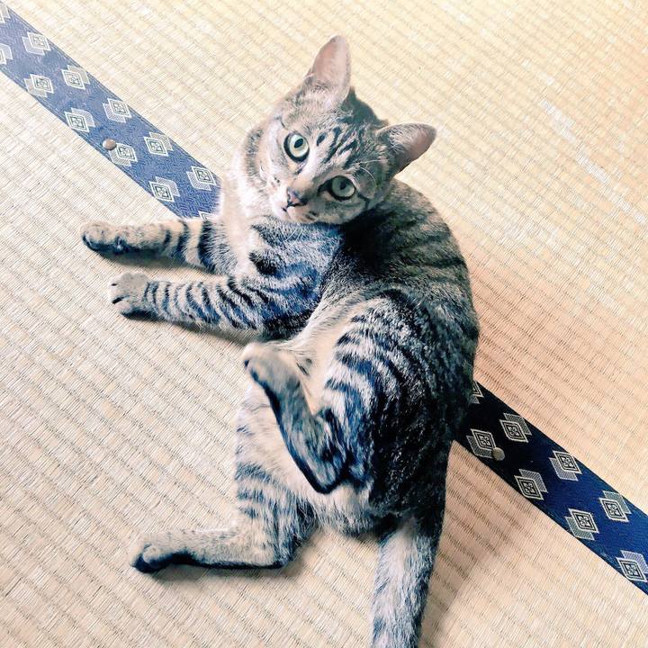 111ef905 98c2 4102 a60e 1133378fc184